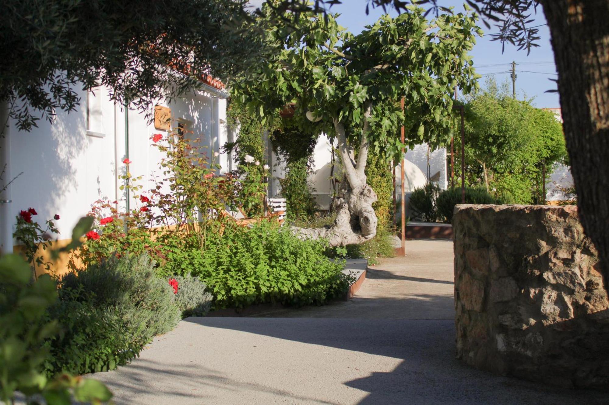 Sao Bras Do Regedouro - Turismo Na Aldeia Villa Évora Kültér fotó
